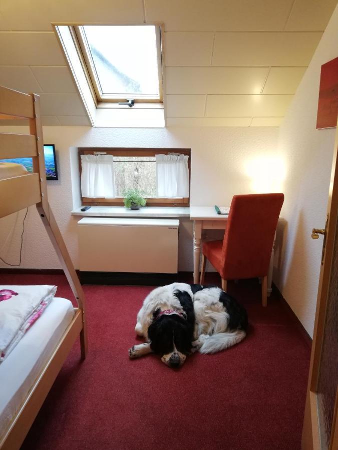 Ferienhof Hoehensonne Rathmannsdorf Extérieur photo